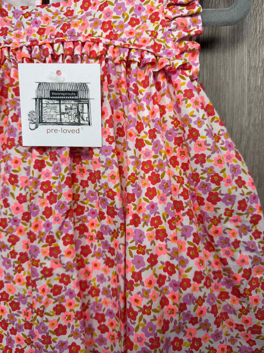 Tea Collection Size 9-12m Dress