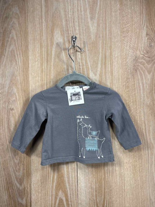 Zara Size 3-6m Shirt