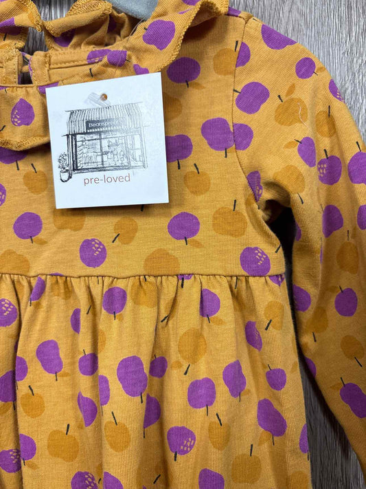 Tea Collection Size 9-12m Dress