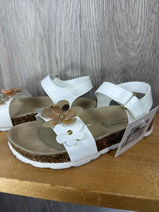 Size C11 Summer