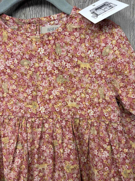 Wheat Size 2y Dress