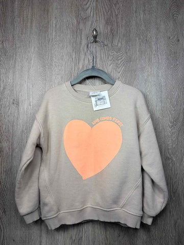 Zara Size 3-4y Shirt