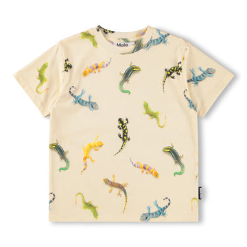 Riley - Geckos Light