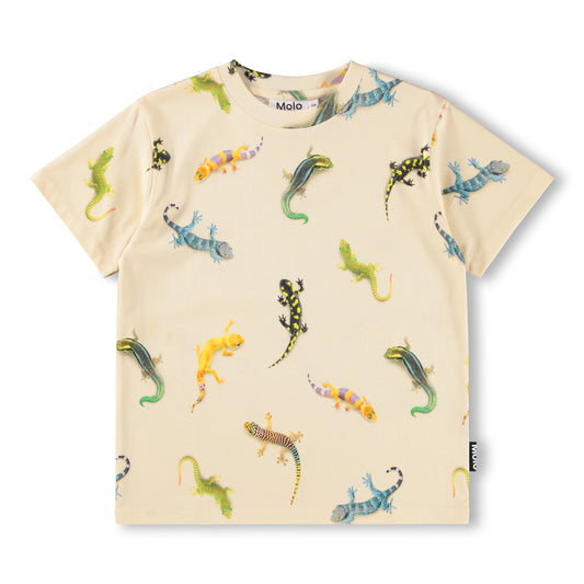Riley - Geckos Light