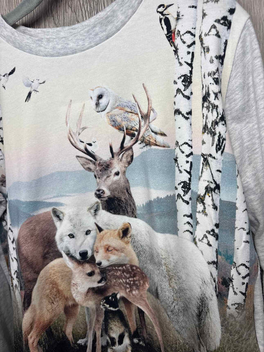 Molo Size 5-6y Shirt