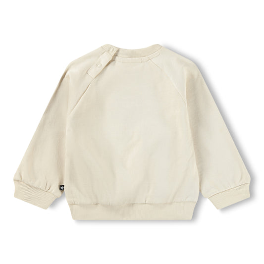 Disc - Little Rainbow