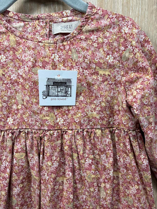 Wheat Size 2y Dress