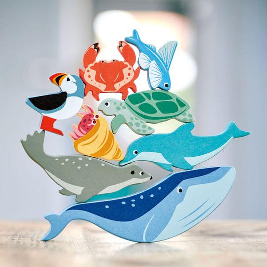 Coastal Creatures Collection w/ Display