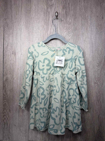 Zara Size 2-3y Dress