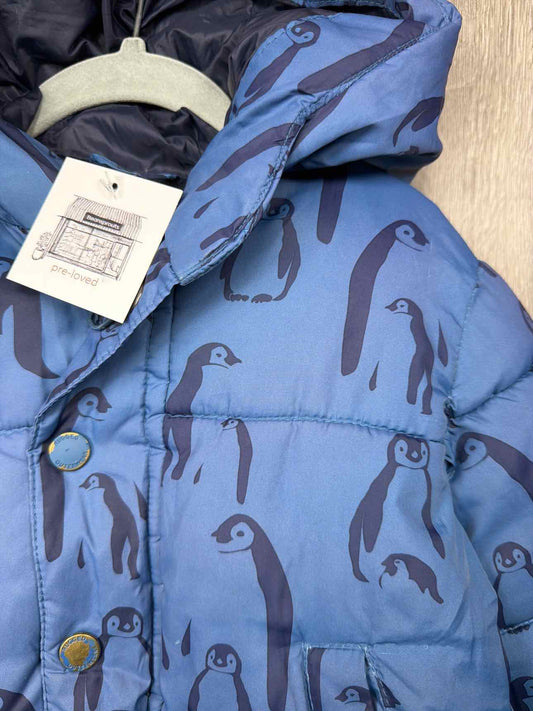 Zara Size 9-12m Jackets & Outerwear