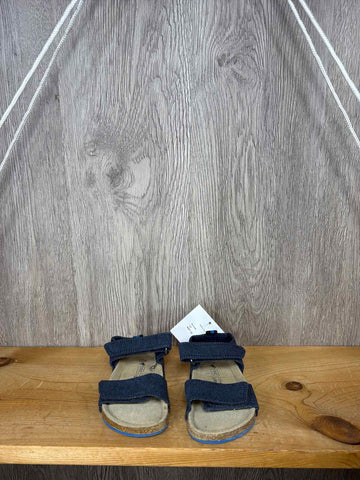 Next Size C5 Summer