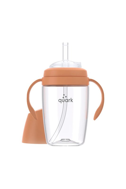 Bubbibottle - sippy cup