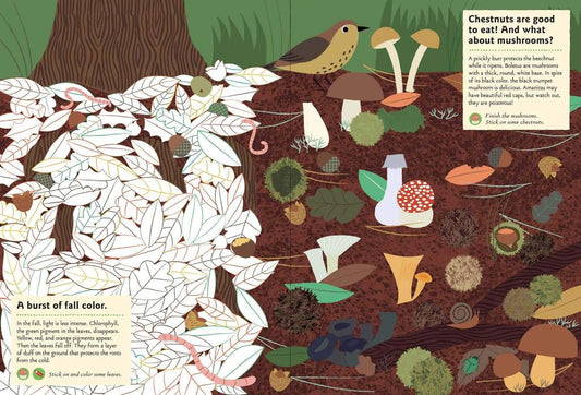 In the Forest - Sticker Activity Book