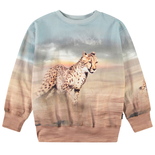 Mattis - running cheetahs