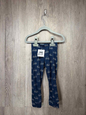 Little and Lively Size 2y Pants