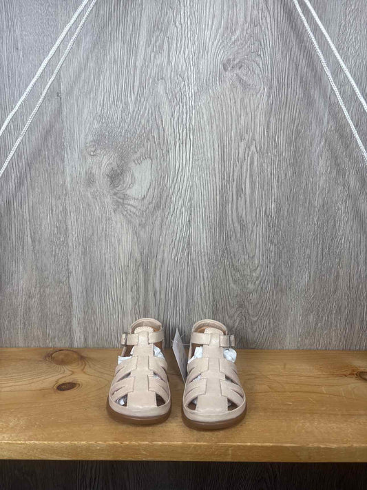 Pomdapi Size C5 Summer