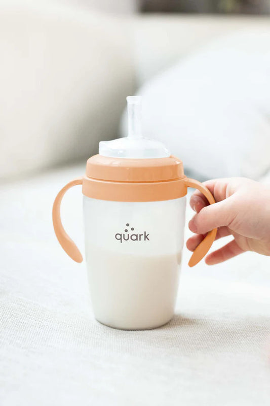 Bubbibottle - sippy cup