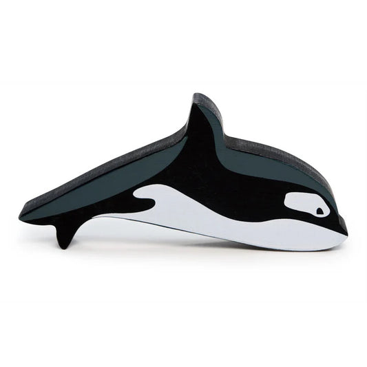 polar animals - orca