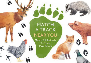 match a track near you