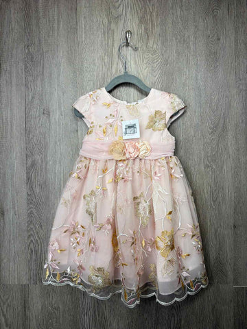 Size 3y Dress