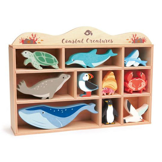 Coastal Creatures Collection w/ Display