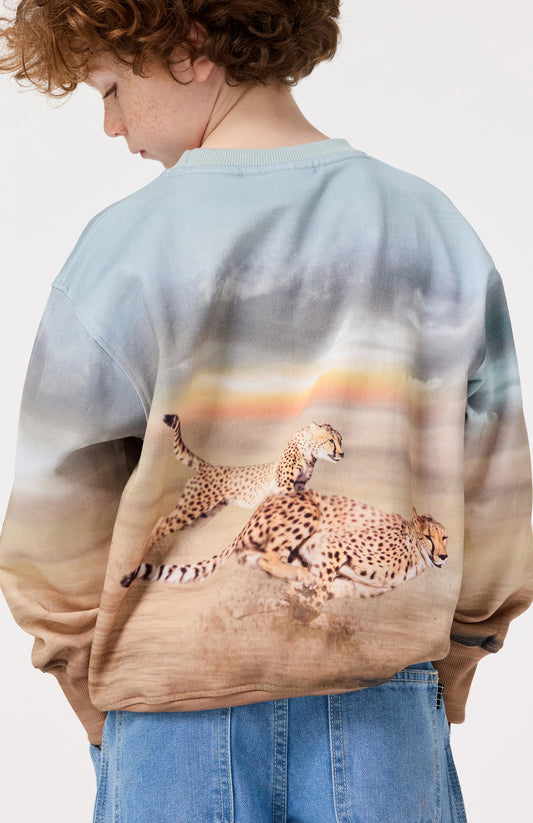 Mattis - running cheetahs