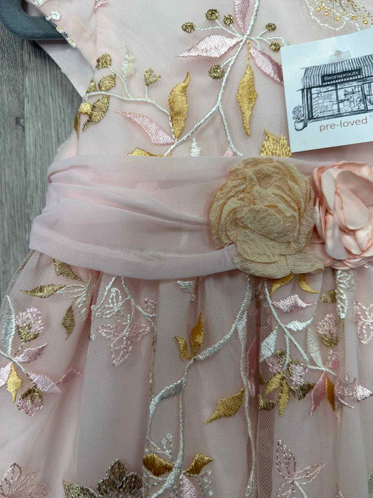 Size 3y Dress