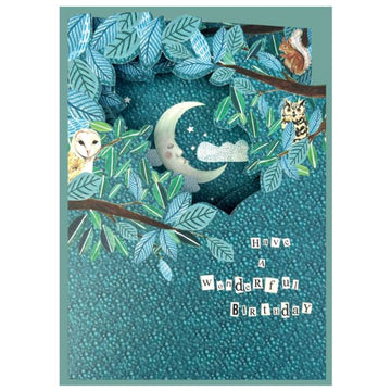 Moon and Owls, Wonderful Birthday