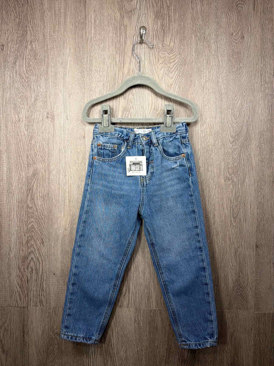 Zara Size 3-4y Pants