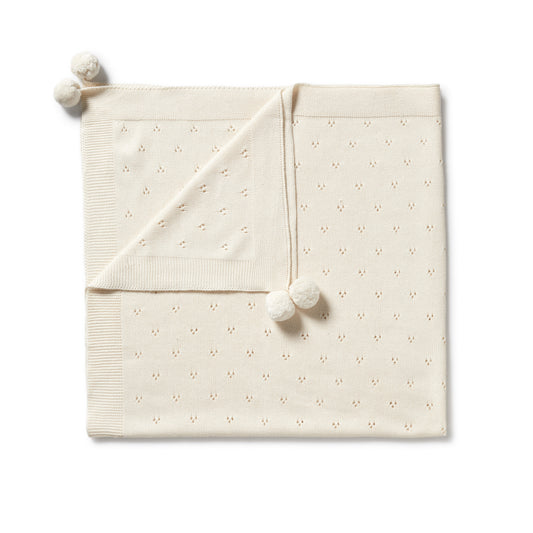 Ecru knit pointelle