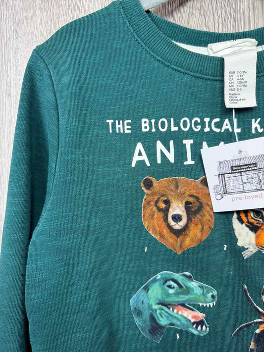 H&M Size 4-6y Shirt