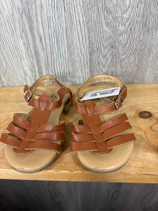 Gap Size C8 Summer