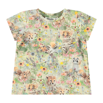 Elly - meadow cubs