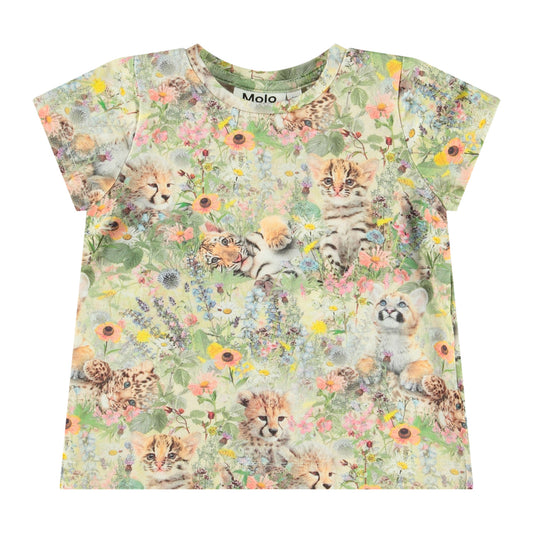 Elly - meadow cubs