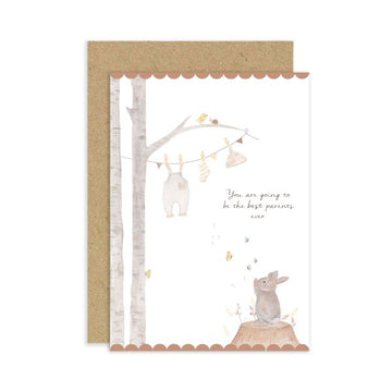 Rabbit and Clothes line, Baby best parents