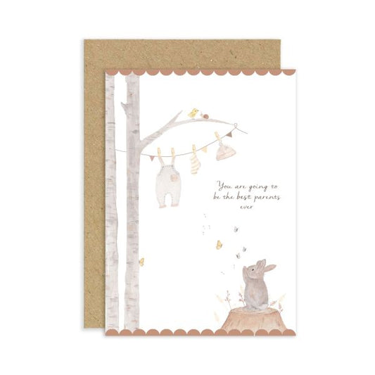 Rabbit and Clothes line, Baby best parents