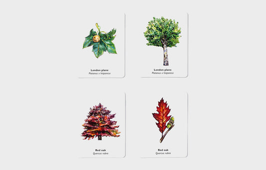 match a leaf